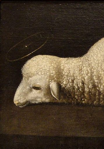 Francisco de Zurbarán, Agnus dei&nbsp;(1635-40)